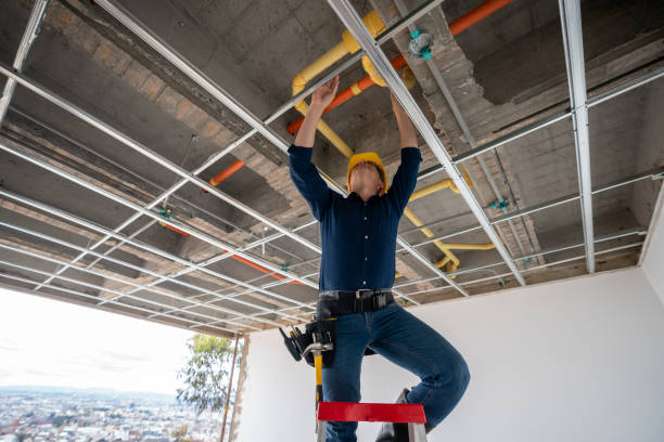 Best Plumbing Services Near Me  in Locust Grove, OK